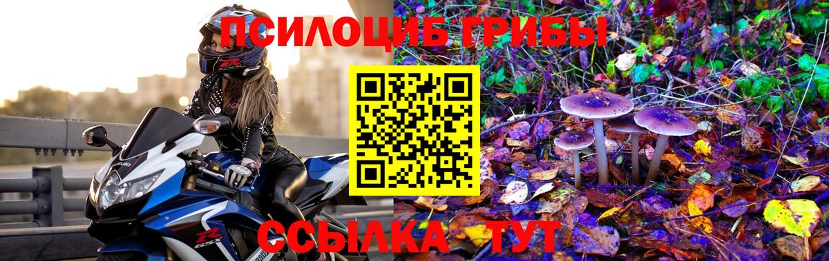 Галлюциногенные грибы ЛСД  Вход с VPN  как найти закладки  Галлюциногенные грибы Psilocybe  Зерноград 